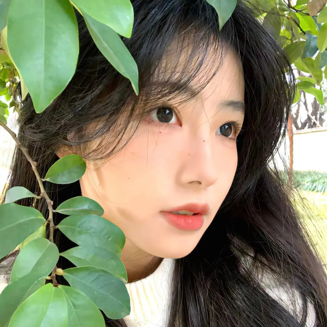 春光乍泄